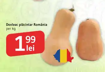 Dovleac plăcintar România