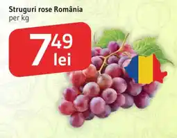 Supeco Struguri rose România Ofertă