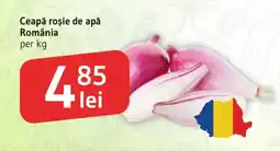 Supeco Ceapă roșie de apă România Ofertă