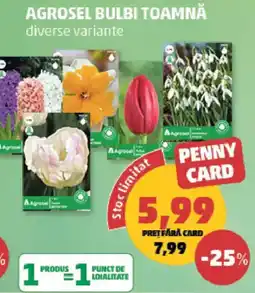 Penny Agrosel bulbi toamnă Ofertă