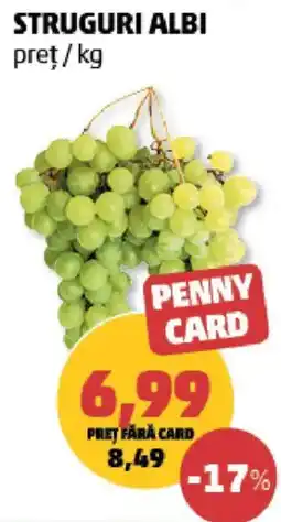 Penny Penny Card Struguri Albi Ofertă