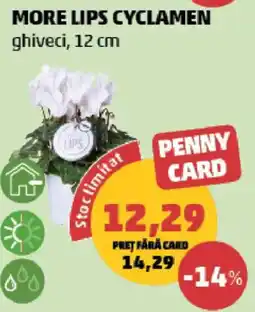 Penny More lips cyclamen Ofertă