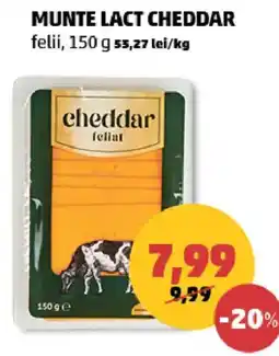 Penny Munte lact cheddar felii Ofertă
