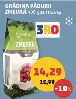 Penny Grădina Pădurii zmeură Ofertă