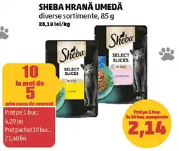 Penny Sheba hrană umedă Ofertă
