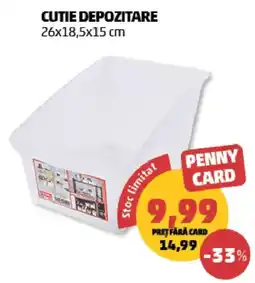 Penny Penny Card cutie depozitare Ofertă