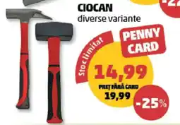 Penny Ciocan diverse variante Ofertă