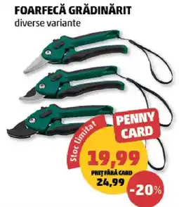 Penny Penny Card foarfecă grădinărit diverse variante Ofertă