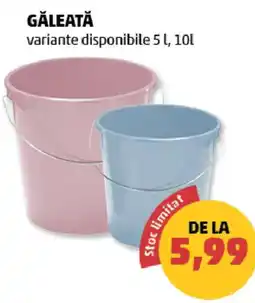 Penny Găleată Ofertă