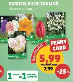 Penny AGROSEL BULBI TOAMNĂ Ofertă