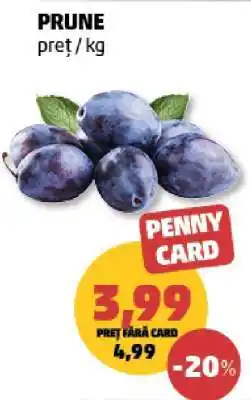 Penny Prune Ofertă