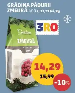 Penny GRĂDINA PĂDURII ZMEURĂ Ofertă