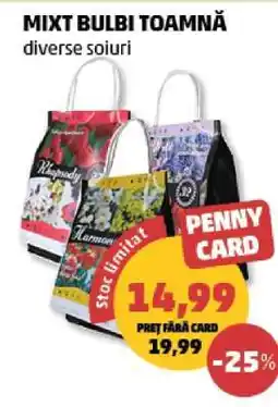Penny MIXT BULBI TOAMNĂ Ofertă