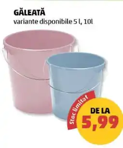 Penny Găleată Ofertă