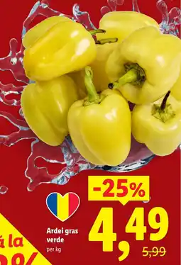 Lidl Ardei gras verde Ofertă