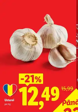 Lidl Usturoi Ofertă