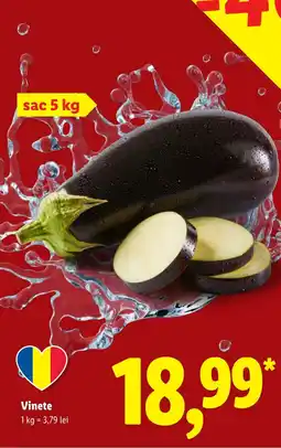 Lidl Vinete Ofertă