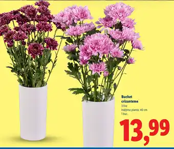Lidl Buchet crizanteme Ofertă