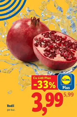 Lidl Lidl Rodii Ofertă