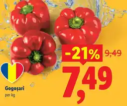 Lidl Gogoșari Ofertă