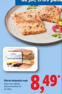 Lidl Dayseaday file de rândunică roșie Ofertă