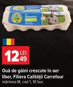 Carrefour Market Filiera Calității Carrefour Ouă de găini crescute în aer liber Ofertă