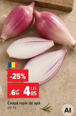 Carrefour Market Ceapă roșie de apă Ofertă