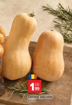 Carrefour Market Dovleac plăcintar Ofertă