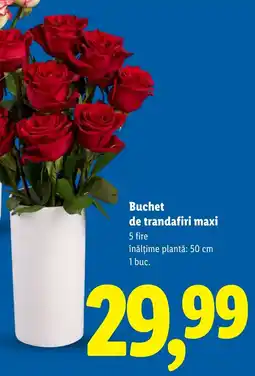Lidl Buchet de trandafiri maxi Ofertă