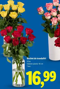 Lidl Buchet de trandafiri Ofertă