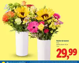Lidl Buchet de toamnă Ofertă