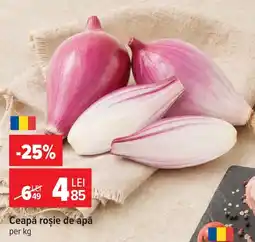 Carrefour Ceapă roșie de apă Ofertă
