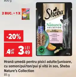 Carrefour Sheba hrană umedă pentru pisici Ofertă