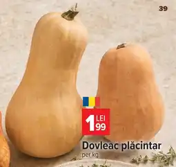 Carrefour Dovleac plăcintar Ofertă