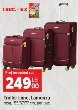 Carrefour Troller Lime Ofertă