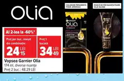 Carrefour Market Garnier Olia Ofertă