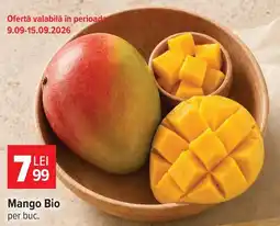 Carrefour Market Mango Bio Ofertă