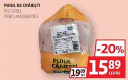 Auchan Puiul de Craiesti Pui Grill Ofertă