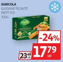 Auchan Agricola gujoane picante piept pui Ofertă