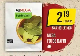 Mega foi de dafin