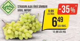 Mega Image Grădina Mega struguri albi fără sâmburi Ofertă