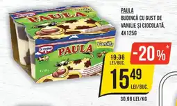 Mega Image Paula budincă cu gust de vanilie și ciocolată Ofertă
