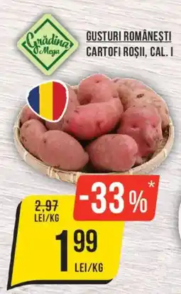 Mega Image Grădina Mega cartofi roșii, cal. i Ofertă