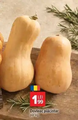 Carrefour Dovleac plăcintar Ofertă