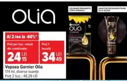 Carrefour Vopsea Garnier Olia Ofertă