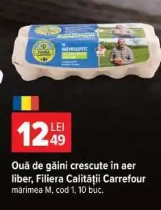 Carrefour Ouă de găini crescute în aer liber, Filiera Calității Carrefour Ofertă
