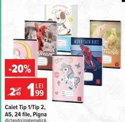 Carrefour Caiet Tip 1/Tip 2, A5, 24 file, Pigna Ofertă