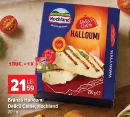 Carrefour Brânză Halloumi Delicii Calde, Hochland Ofertă