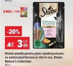 Carrefour Sheba Nature's Collection Ofertă