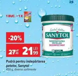 Carrefour Pudră pentru îndepărtarea petelor, Sanytol Ofertă